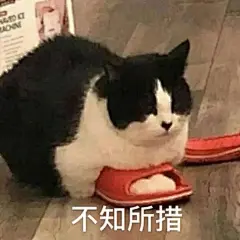 猫狗表情包