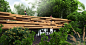 paul cocksedge's exploded view bridge in cape town to use invasive eucalyptus tree wood :  