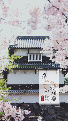 优爷采集到壁纸