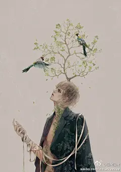 手绘插画  白树白树/绘