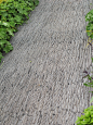 Slate garden path for a very dynamic effect.