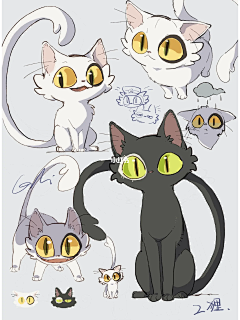 青青子金GL采集到猫咪