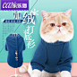 猫咪衣服小型猫衣服宠物秋冬宠物衣服猫咪的衣服猫服装加菲猫衣服