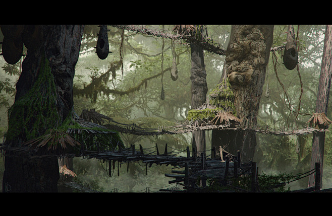 Forest camp