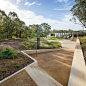 BVN donovan hill roots australian plantbank to botanic gardens habitat#踏步#  #挡土墙#  #种植#