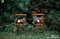 img-bb0ee175f3a02f97f67d7766a5aa0d2a