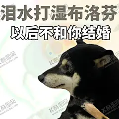 小柴狗表情包 【酷图网】小柴狗表情包,表情包,柴犬,小柴犬,卡通