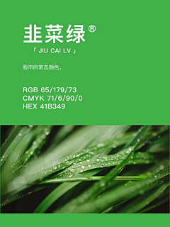 十一1112采集到颜色