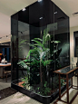 黑色玻璃的神秘感#植物造景 - 小红书