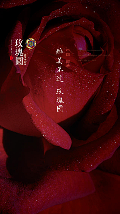 墨子我的爱采集到背景