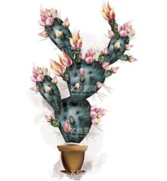ai格式植物花卉手绘素材  - 源文件下载【酷图网】插画,卡通,花型,手绘,盆栽,植物,花卉,素材,插图,仙人掌,