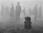 //
Harriet and people in fog, Zimbabwe, 2020

Nick Brandt这张较新的照片依旧让我为之动容，他是真的很热爱动物和非洲O普罗萨克。这些年不曾离开，这张照片拍摄于津巴布韦的鸟类保护区，我们看到一只巨大的Verreaux's eagle-owl 黄雕鸮在前景，稍显落寞却姿态坚韧。背后是雾中人。涉不 ​​​​...展开全文c