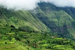 两天神游黔川黔,乌蒙山上土鸡贱