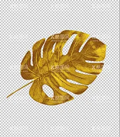 金色树叶免抠素材  - 源文件下载【酷图网】植物图案,叶子图案,树叶图案,线描,植物,花边,金色花边,金色,金箔,树枝,花环,树叶,典雅,边框,装饰,PNG,免抠,图案,欧风,金色树叶,