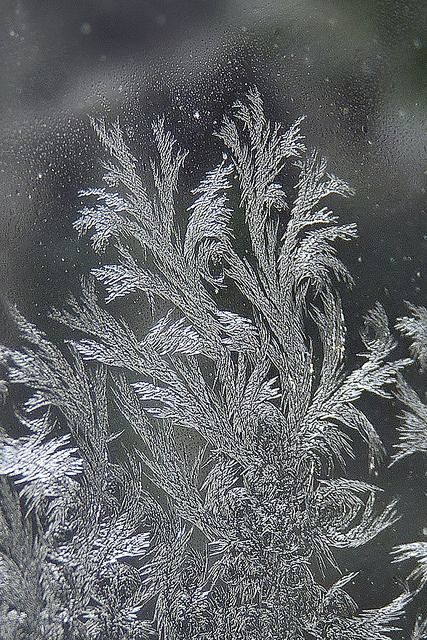 开在玻璃上的冰花，是大自然的创作。