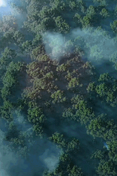 毛小错采集到GIF