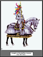 重装骑士   16th