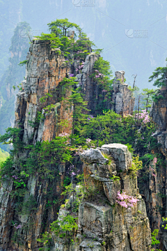 老蠹虫采集到风景