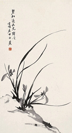 兔子小小采集到Dina