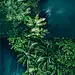 喜欢恬淡的端坐在季节深处，将心安放在自己修筑的安静的城池里，与一朵素馨对视，与一缕阳光私语。 