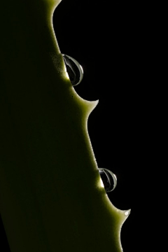 ChenchenB采集到freepik.com
