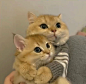 325