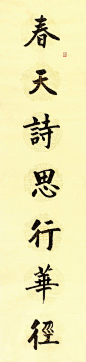 韩宁宁书法作品欣赏 - 李梨 - 李梨