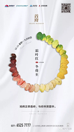 369🐿采集到节气