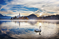 斯洛文尼亚布莱德湖的天鹅
Lake Bled by Woosra Kim on 500px