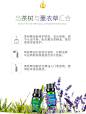 WIS祛痘淡印精油套装 薰衣草茶树精油调理肌肤控油收缩毛孔护肤品-tmall.com天猫
