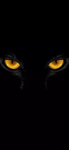 1019-全面屏超清壁纸 | 让人窒息的手机壁纸