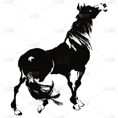 惠苏广采集到茶叶详情
