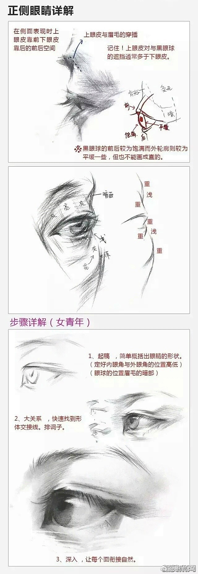 最详细的五官解析图