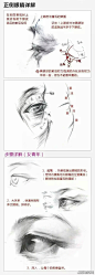 最详细的五官解析图