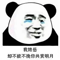 姓氏套路情话表情包带字 我姓岳却不能不挽你共赏明月-腾牛个性网