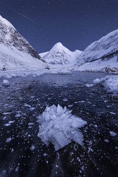 踏雪无痕·茉莉采集到乱七八糟的画