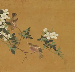 五代十国｜黄筌｜长春花鸟册_7_澜叔艺术馆_来自小红书网页版