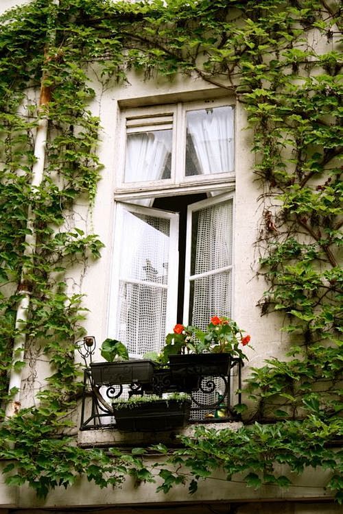 来自French Doors, Pari...