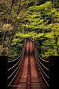 Shiomibashi Bridge - Ibaraki, Japan: 