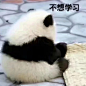 不想学校，只想睡觉/表情包_女生头像_我要个性网