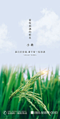 【源文件下载】 海报 房地产 小满 二十四节气 麦穗