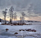 唯美风景摄影--冰天雪地。| photo by:azzgine