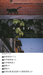 城南旧事