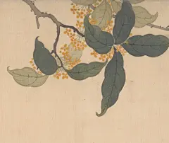 国博珍藏云欣赏 | 《百花图》壁纸&amp;诗笺来啦，请查收_诗词 : @寒栖：喜欢图4的牡丹花，与之相关的诗词推荐唐代刘禹锡创作的《赏牡丹》，我据他诗词原文略加改动，供国博君参考。 @歆炎:最喜爱图9中的牵牛，推荐一首秦观的《牵牛花》，诗中吟咏的正是《百花图》中的蓝色…