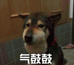 微信 QQ 搞笑 表情包 哈哈 (533)