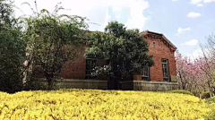 陨落星云采集到校园风景