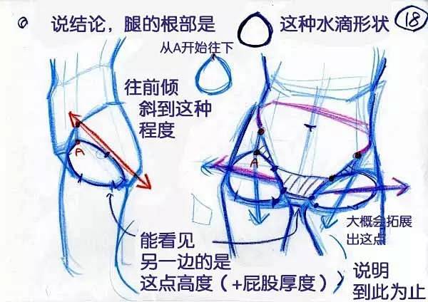 【绘画教材】女生腰部的学习教材3，P站作...