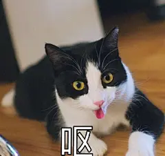 QQ截图20170417131936