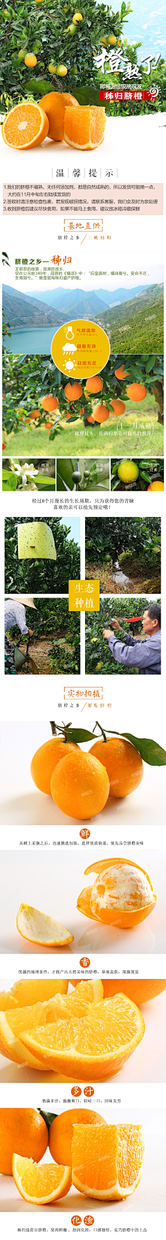 打酱油的美工采集到水果