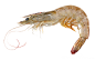 虾
